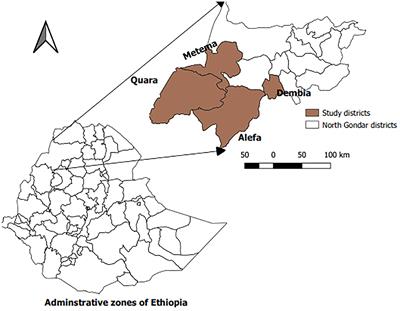 Seroprevalence and Risk Factors of Contagious Bovine Pleuropneumonia in Selected Districts of North Gondar Zone, Ethiopia